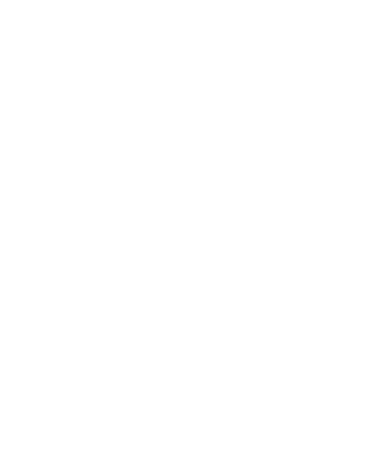 The Rock Chip Co.